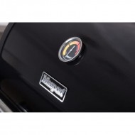 Gāzes grils AL-KO BBQ Maestro (134224) 