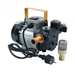 Elektriskais eļļas pārsūknēšanas sūknis | 550 W (BST1050)